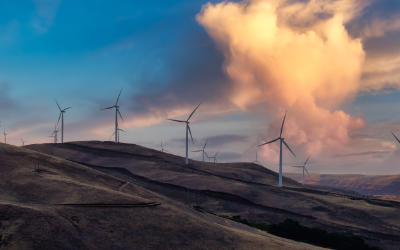 Fibre Optic Cables in Renewable Energy